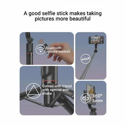 512148122_1208644857725654_2242997764385476155_n