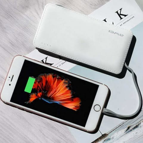 515095926_728868913411672_8514079100603875640_n